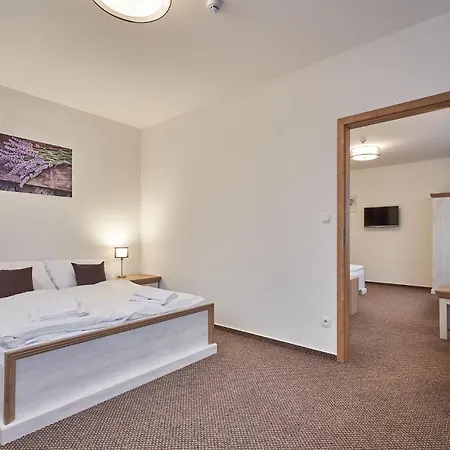 Pensión Varta Janské Lázně